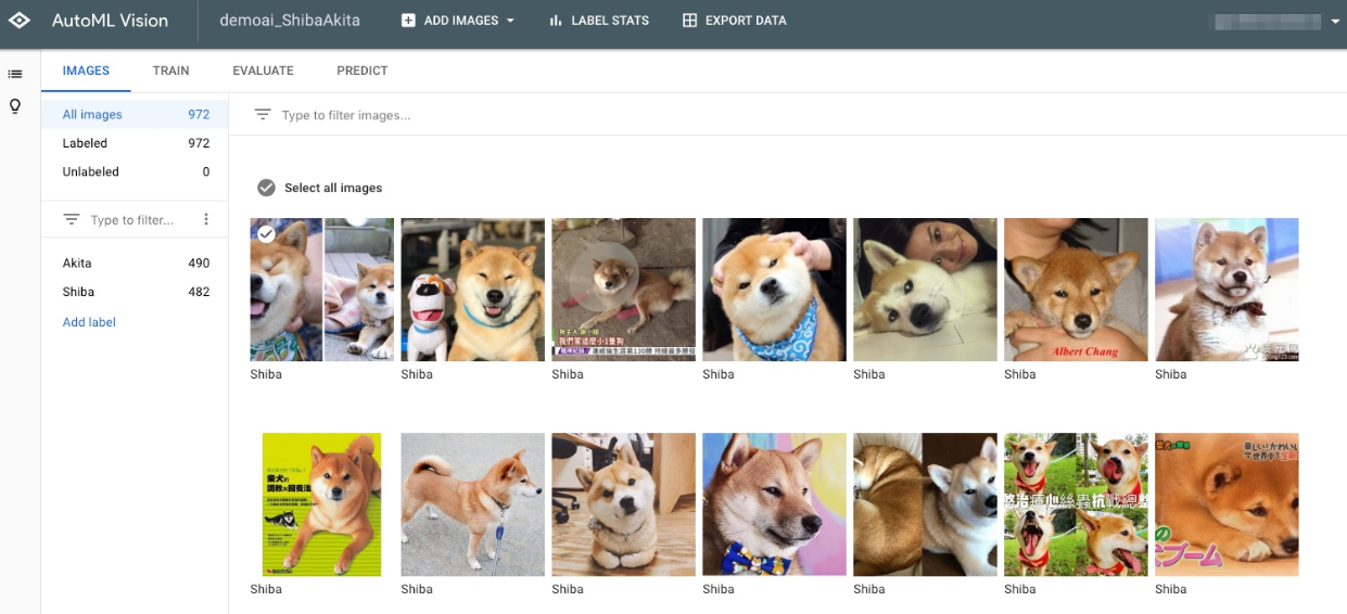 autodog - Google Cloud AutoML Vision 輕鬆分辨秋田和柴犬！快來體驗最新的機器學習工具吧