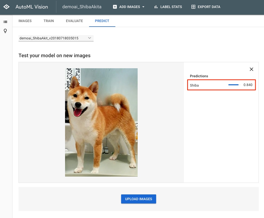 image5 - Google Cloud AutoML Vision 輕鬆分辨秋田和柴犬！快來體驗最新的機器學習工具吧